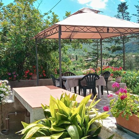 Ferienwohnung Casa Gaia 3 Portoferraio Exterior foto